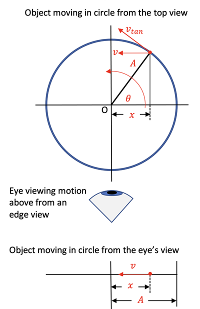 Equation Overview for Simple Harmonic Motion Problems