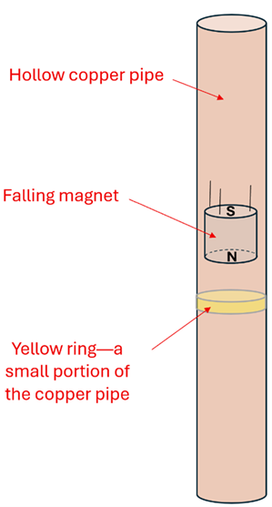 A hollow copper pipe with a strong neodymium magnet falling through it (south end up, north end down).  A yellow 'ring' in the copper portion of the pipe is highlighted as the magnet approaches it.