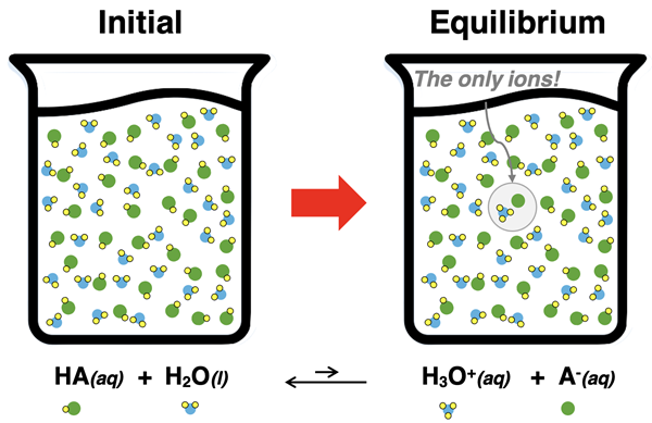 Particle diagram of a weak acid showing solution composed of undissociated acid molecules with very few dissociated ions.