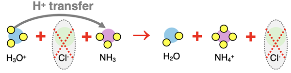 Particle diagram representing net ionic equation for reaction between HCl and NH3. Proton transfer is shown.