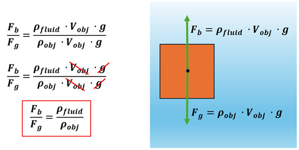 A Full Body Diagram is shown on the right of an object, and the equations on the left.  For the object, a dot is drawn in the center, and an arrow pointing up labeled F sub b (Buoyant force) = rho sub fluid (density of fluid it's floating in) times V sub obj (volument of object) times g.  Another arrow is drawn, this one down with F sub g (Force caused by gravity) = rho sub object (density of the object) times V sub obj (Volume of the object) times g.  The equations then show that the ratio of F sub b over F sub g = the product of rho sub fluid times V sub obj times g over the product of rho sub obj times V sub obj times g.  The V sub obj and g values cancel out, so the ratio of the Buoyant Force over Force of Gravity = the density of the fluid over the density of the object.