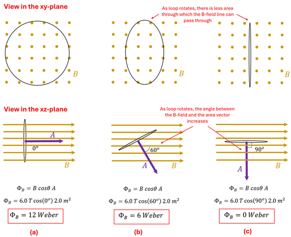 A diagram showing a consistent magnetic field going through a loop of wire in 3 configurations.  Perpendicular, at a 60 degree angle, and at a 90 degree angle.  The B Cosign Theta resolves to 1, 0.5, and 0 respectively of the 3 orientations, which results in (given 6 Tesla strength and given an area of 2 meters squared in the loop) a value of 12 Webers, 6 webers, and 0 webers.