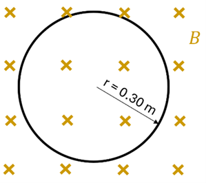 A circle with radius 0.3m in a magnetic field going into the page.