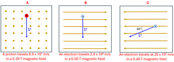 Three diagrams A through C.  Diagram A shows a positive particle traveling down at 8 times 10 to the 5th meters per second through a magnetic field of 0.20 Tesla pointing out of the page (dots).  B shows a negatively charged particle moving down at 2.0 times 10 to the 6th meter per second through a magnetic field of 0.50 Tesla going to the right.  C shows a negatively charged particle moving 30 degrees to the bottom left at a speed of 25 times 10 to the 5th meters per second with a magnetic field of 0.40 Tesla moving to the left.
