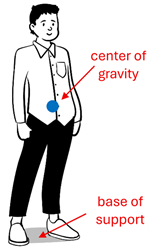A picture of a person with a blue dot near the stomach representing the center of gravity, and the base of support shown at the feet directly below the center of gravity.