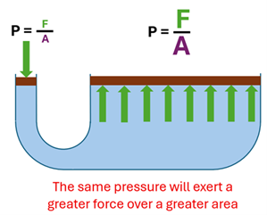 A U shaped tube (that is wider on the right side than left) has a force pushing on the left side with P = F (small) over A (small).  On the right, the area is many times greater, and so is the Force, with the equation P = F (Large) over A (Large).  The same pressure will exert a greater force over a greater area.