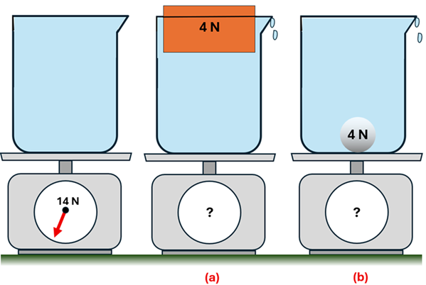 3 beakers of water (that were filled to the top) are shown on a scale, the first with nothing but the water and is 14 Newtons, the second (a) with a 4 newton wood block floating and some water spilled out, and the third (b) with a 4 newton steel ball that is sitting on the bottom and some water spilled out. The scales for (a) and (b) have a question mark.