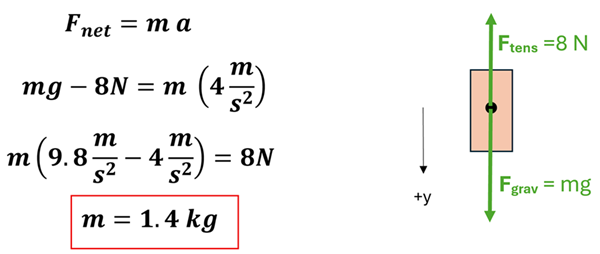 An equation and an illustration are given.  The illustration on the right show the weight with 2 force vectors, F sub tens = 8 N and F sub grav = m (mass) times g (acceleration caused gravity). An arrow pointing down shows +y meaning downward direction will be represented as a positive value.  The equations are on the left show F net = m a, and we substitute F net for m g - 8 N, and substitute a (acceleration) for 4 meters per second squared.  Since g is 9.8 meters per second squared, we solve algebraically to get the mass of 1.4 kg.