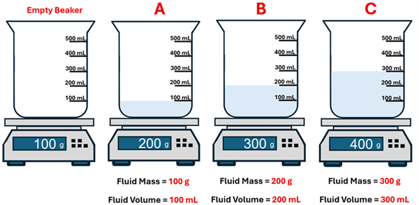 4 beakers on top of scales are shown.  Labels of Empty, A, B and C are above them, and the fluid mass and fluid volume are listed below.  Empty shows 100g on the scale and no fluid in it (weight of the beaker), Flask A shows 200 g on the scale and a fluid mass of 100g and fluid volume of 100 milli liters.  Flask B shows 300 g on the scale and has 200 g for mass and 200 milli liters of volume, and Flask C shows 400 g on the scale and has 300 g of mass and 300 milli liters of volume.