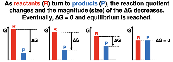 A collection of bar charts illustrating how the Gibbs free energy change changes as a reaction proceeds from reactants to products.