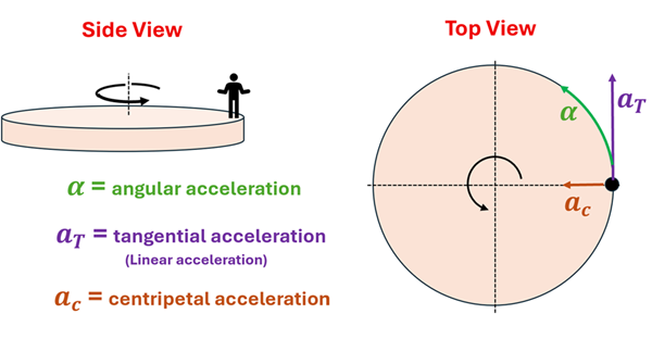 A side and top view of a rotating disc with arrows depicting the types of acceleration. A person is standing at the edge of the disc (at 0 degrees) and it is rotating counter clockwise. From the top view, a green arrow is arcing with the circle and labeled alpha (angular acceleration). An arrow straight up is labeled a sub t (tangential acceleration - linear), and a smaller arrow is pointing straight towards the center of the circle and is labeled a sub c (centripetal acceleration)