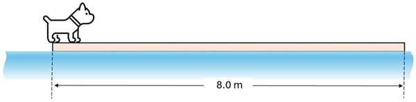 A 6 kg dog is standing on the left hand side of a 8 meter long 14 kg board.