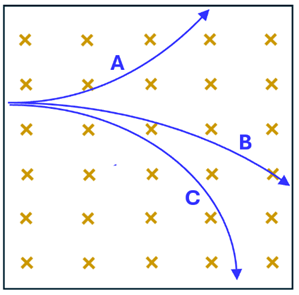 An image showing 3 particles (A B and C) that moved to the right through the magnetic field that is going into the page (represented by x's).  A's path bends upwards, B and C bend downward.