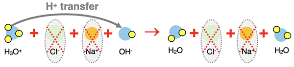 Particle diagrams showing reactants, products, and proton transfer in the neutralization reaction of HCl with NaOH; spectator ions (Cl-) are crossed out.