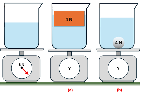 3 beakers of water are shown on a scale, the first with nothing but the water and is 8 Newtons, the second (a) with a 4 newton wood block floating, and the third (b) with a 4 newton steel ball that is sitting on the bottom. The scales for (a) and (b) have a question mark.