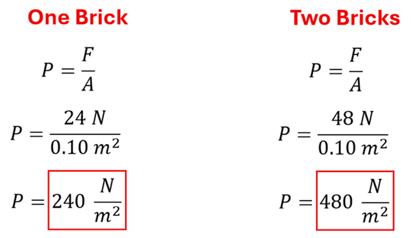 There are 2 sets of equations, one for one brick, one for two bricks.  Both start with P = F / A.  For 1 brick the Force is 24 N, which when divided by 0.10 m squared = 240 Newtons per meter squared.  For Two bricks, the force is doubled (48 N) to get 480 Newtons per meter squared.