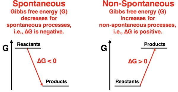 Two diagrams depicting Gibbs free energy change between reactants and products, relating the sign of ∆G to the reaction being spontaneous or not spontaneous