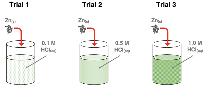 Three beakers having varying concentrations of HCl for a reaction trial in which mossy Zn is reacted with the acid.