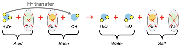 Particle diagram representing complete ionic equation for neutralization reaction of HCl with NaOH. Acid, base, water, and salt are labeled; spectator ions are circled.