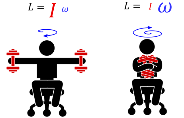 Two illustrations of a person holding red weights in a chair, a blue spinning vector above the head and the Angular Momentum equation above each.  The first shows his arm outwards and the equation is L = I (red and large) times omega (blue and small).  The second shows the weights pulled inwards, and the equation has L = I (red and small) times omega (blue and large).