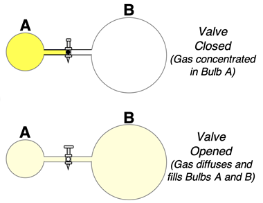 Gas located in one bulb of a two-bulb container will naturally disperse to fill the entire two bulbs.